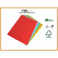 Color Paper Board (185GSM - 5 Pastellfarben gemischt)